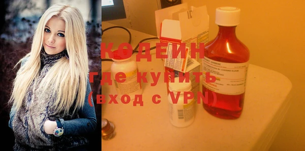 хмурый Алексин