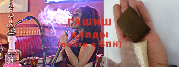 хмурый Алексин