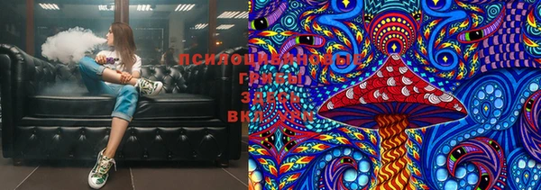 хмурый Алексин