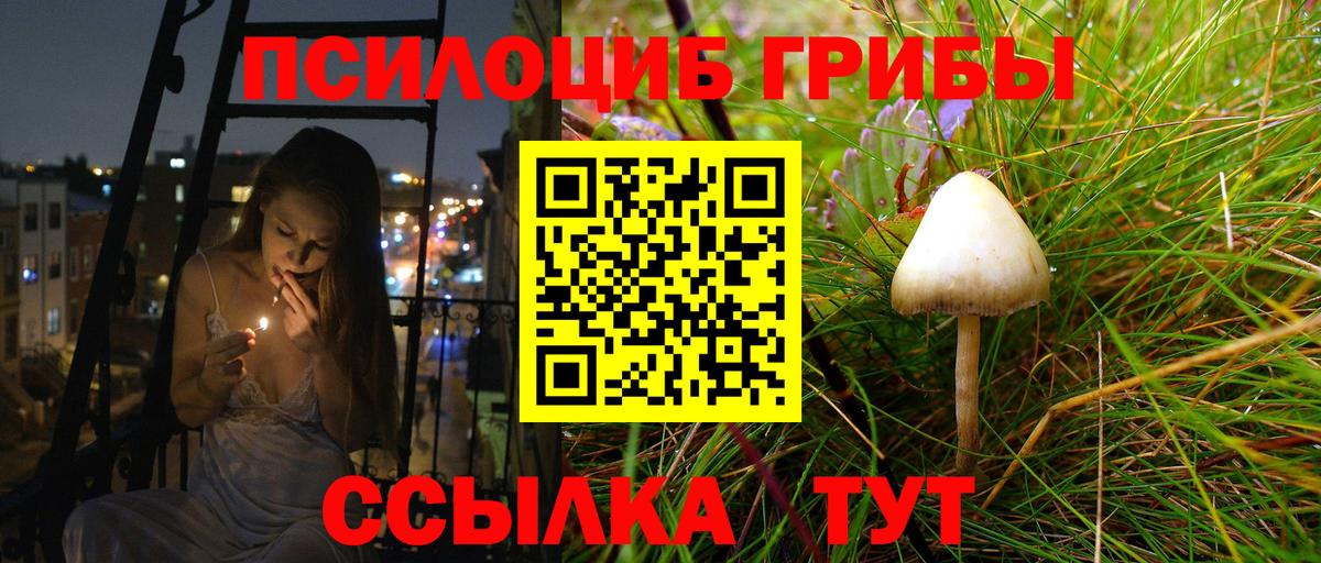 Псилоцибиновые грибы мицелий Боровичи